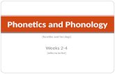 [fon Є tiks and fon Ɔ logi] Weeks 2-4 [wiks tu to for] Phonetics and Phonology.