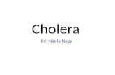 Cholera By: Nadia Nagy. What is Cholera? Cholera is a diarrheal infection caused by ingestion of food or water contaminated with the bacterium Vibrio.