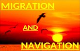 NAVIGATION MIGRATION AND. MIGRATION “In its purest sense, migration refers to seasonal movements between a location where an individual or population.