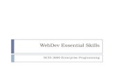 WebDev Essential Skills BCIS 3680 Enterprise Programming.