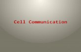 Cell Communication. Cell Junctions Neighboring cells in tissues, organs, or organ systems often adhere, interact, and communicate through direct physical.