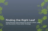 Finding the Right Leaf Using Decision Tree Analysis to Ensure a Rich, Lush, and Successful Preservation Strategy.