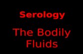 Serology The Bodily Fluids. Your identity shows up in more places than your driver’s license…