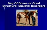 Bag Of Bones or Good Structure: Skeletal Disorders.