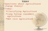 © T. M. Whitmore TODAY Questions about agricultural change theory? Today:  Classifying Agriculture  Long fallow (swidden) agriculture  Wet rice agriculture.
