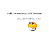 Self Awareness/Self Esteem YOU ARE WHAT YOU THINK.