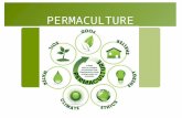 PERMACULTURE. Permaculture Definition  Permaculture is the conscious design and maintenance of agriculturally productive systems which have the diversity,
