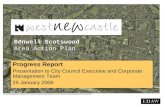 Benwell Scotswood Area Action Plan Progress Report Presentation to City Council Executive and Corporate Management Team 25 January 2006.