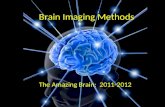 Brain Imaging Methods The Amazing Brain: 2011-2012.