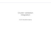 Cluster validation Integration ICES Bioinformatics.