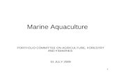 1 Marine Aquaculture PORTFOLIO COMMITTEE ON AGRICULTURE, FORESTRY AND FISHERIES 01 JULY 2009.