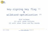Olaf M. Kolkman. IETF55, November 2002, Atlanta GA.  1 key-signing key flag [1] & wildcard-optimization [2] Olaf Kolkman [1] with.