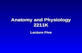 Anatomy and Physiology 2211K Lecture Five. Slide 2 – Urinary system.