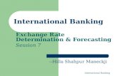 International Banking Exchange Rate Determination & Forecasting Session 7 --Hilla Shahpur Maneckji.