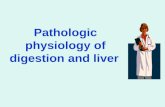 Pathologic physiology of digestion and liver. Insufficiency of digestion. The reasons. Manifestations The basic role of digestive system consists in digestion.