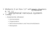 Ch. 11 Efferent peripheral nervous system Midterm 2 on Nov 11 th will cover chapters 8, 10, 11. Today: –Autonomic division Homeostasis Organization Neurotranmsitters.