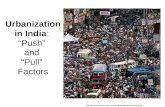 Urbanization in India: “Push” and “Pull” Factors .