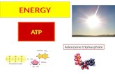 ENERGY ATP Adenosine triphosphate Energy is the ability to ____________or__________. Nearly every activity in modern society depends upon energy. cause.