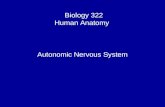 Biology 322 Human Anatomy I Autonomic Nervous System.