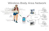 1 Wireless Body Area Network. 2 MSP430F2013: 2KB + 256B Flash Memory 128B RAM.