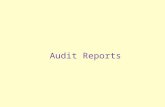 Audit Reports. PA’s Professional Responsibilities When associated with information, responsibilities include the following: Applicable standards in the.