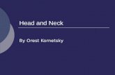 Head and Neck By Orest Kornetsky. Anatomy review.