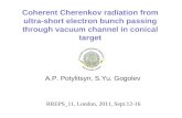Coherent Cherenkov radiation from ultra-short electron bunch passing through vacuum channel in conical target A.P. Potylitsyn, S.Yu. Gogolev RREPS_11,