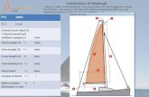 Dimension of Mainsail After you filled in all dimensions, You could press Ctrl+Alt+A together to make Print Screen, and send us the files by E-mail so.