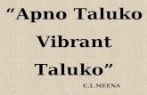 C.L.MEENA “Apno Taluko Vibrant Taluko”. To empower Taluka Leadership – create a Taluka team at par with district team – Risk taking capacity.Development.
