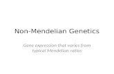 Non-Mendelian Genetics Gene expression that varies from typical Mendelian ratios.