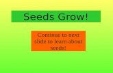 Seeds Grow! Continue to next slide to learn about seeds!