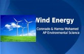 Wind Energy Tony Coronado & Hamsa Mohamed AP Environmental Science.