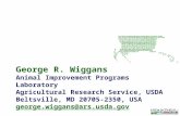 WiggansARS Big Data Computing Workshop (1) 2013 George R. Wiggans Animal Improvement Programs Laboratory Agricultural Research Service, USDA Beltsville,