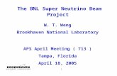 1 The BNL Super Neutrino Beam Project W. T. Weng Brookhaven National Laboratory APS April Meeting ( T13 ) Tampa, Florida April 18, 2005.