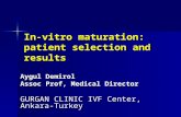 In-vitro maturation: patient selection and results Aygul Demirol Assoc Prof, Medical Director GURGAN CLINIC IVF Center, Ankara-Turkey.