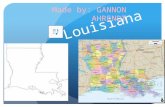 Louisiana Made by: GANNON AHRENDT Geographer State capital: Baton Rouge Region Name: Southeast Region 3 Major Cities: New Orleans, Lafayette Kenner Major.