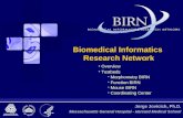 Jorge Jovicich, Ph.D. Massachusetts General Hospital - Harvard Medical School Biomedical Informatics Research Network Overview Testbeds Morphometry BIRN.