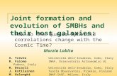 Joint formation and evolution of SMBHs and their host galaxies: How do the Quasar-Spheroid correlations change with the Cosmic Time? A. Treves Università.