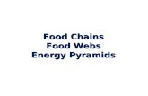 Food Chains Food Webs Energy Pyramids. Autotrophs: Organism that makes own food Heterotrophs: Organism that consumes other organisms.
