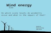 Wind energy On which scale levels do windmills occur and what is the impact of that? Scale Made by: René van Dorp Aike Potze.