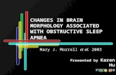 CHANGES IN BRAIN MORPHOLOGY ASSOCIATED WITH OBSTRUCTIVE SLEEP APNEA Mary J. Morrell et al. 2003 Presented by Karen Hu PSYCH 260.