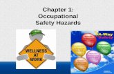 Chapter 1: Occupational Safety Hazards. Occupational Safety Hazards in the Food Service Industry Occupational safety and health (OSH) is increasingly.