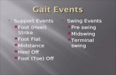Support Events  Foot (Heel) Strike  Foot Flat  Midstance  Heel Off  Foot (Toe) Off  Swing Events  Pre swing  Midswing  Terminal swing.