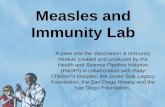 Measles and Immunity Lab A peek into the Vaccination & Immunity Module created and produced by the Health and Science Pipeline Initiative (HASPI) in collaboration.