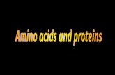 Characteristics of proteins: Are substance of high molecular weight. All protein Contain C, H, O, N, and most contain sulfur, some contain phosphorus.