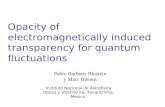 Opacity of electromagnetically induced transparency for quantum fluctuations Pablo Barberis Blostein y Marc Bienert Instituto Nacional de Astrofisica Optica.