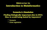 Welcome to Introduction to Bioinformatics Scenario 2: Simulation Finding biologically important sites in DNA How to avoid being fooled by imposters? Scenario.