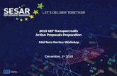 2015 CEF Transport Calls Action Proposals Preparation Mid-Term Review Workshop ©