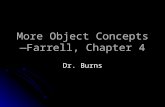 More Object Concepts— Farrell, Chapter 4 Dr. Burns.