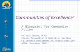 Communities of Excellence 3 A Blueprint for Community Action Valerie Quinn, M.Ed. Cancer Prevention & Nutrition Section California Department of Health.